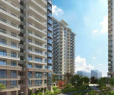 ���������ٳɵ�������